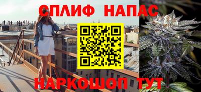 сатива Донской