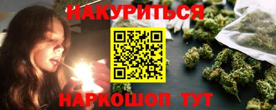 Альфа ПВП Дубна