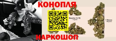 сатива Донецк
