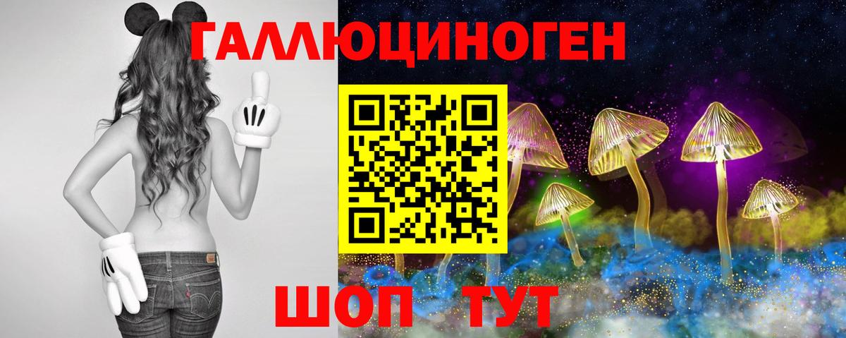 Псилоцибиновые грибы Cubensis Карталы