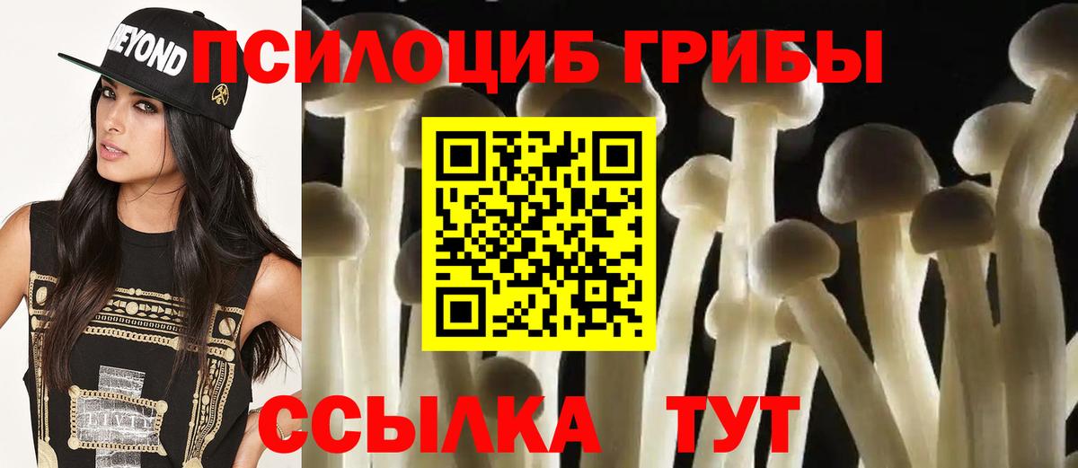 Карталы  Галлюциногенные грибы Psilocybine cubensis  Вход с VPN  Галлюциногенные грибы Cubensis 
